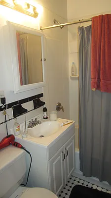 Rented by Manhattan Flats | media 13