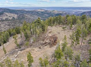 10157 Horizon View Drive, Morrison, CO 80465