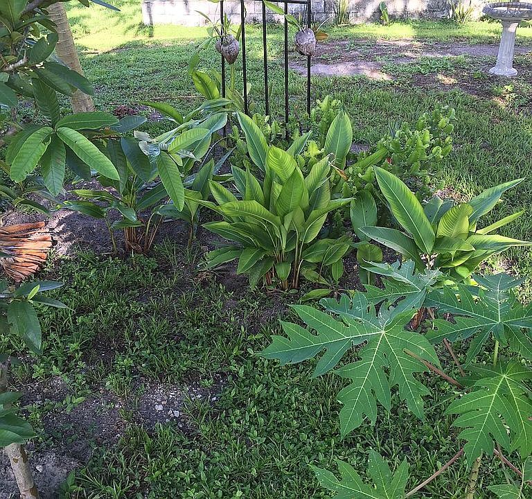 2nd image of 18048 Republic Ave