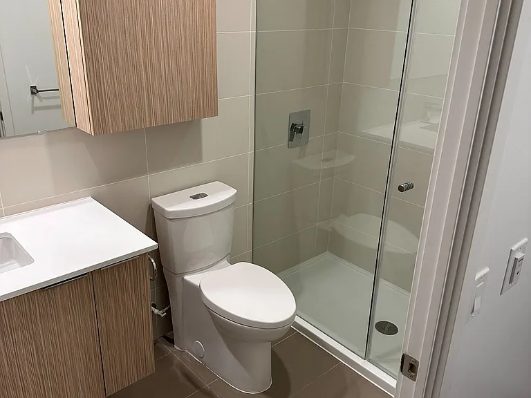 10 Deerlick Ct #1109 — Photo 5
