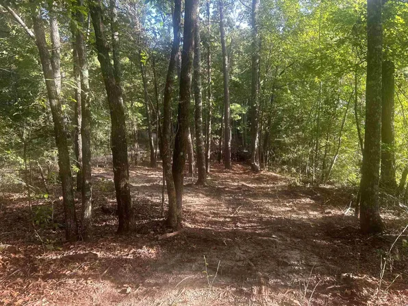 Camden Ln, Amity, AR 71921