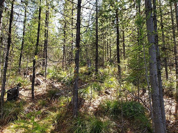 2nd image of TRACT 4 Nine Mile Rd