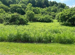 0 Clark Rd #21, Alfred Station, NY 14803