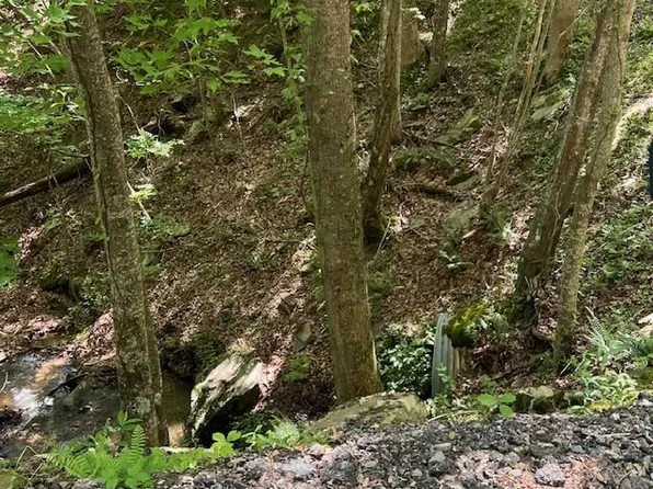 1121 Oglethorpe Mountain Rd #1121, Jasper, GA 30143