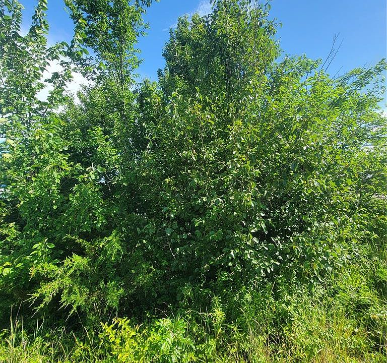 1st image of 5096 Fox Creek Rd
