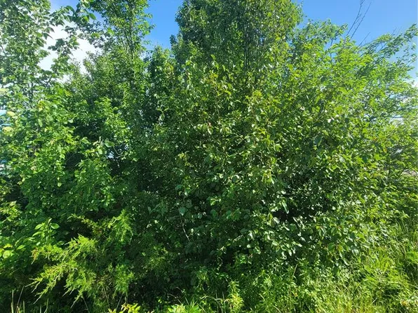5096 Fox Creek Rd, Pacific, MO 63069