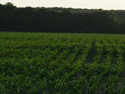 0 County Road 138, Clark, MO, 65243