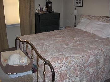 5th image of 1302 S Greenwich Ave