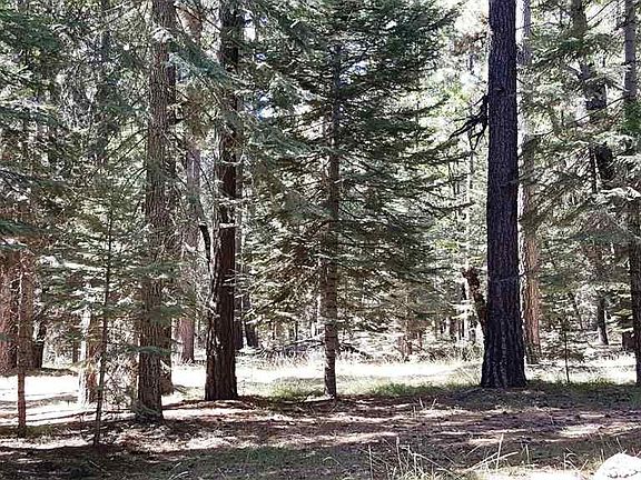 5th image of 3-E Red Fir Dr