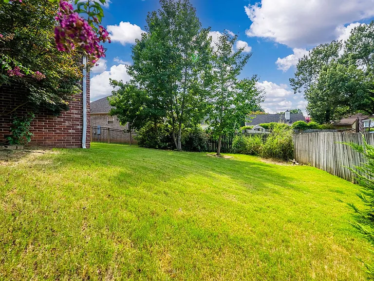 15 Iris Cv — Photo 15