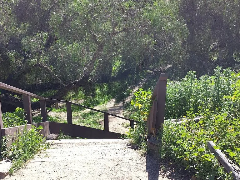 Baboa Trail Head