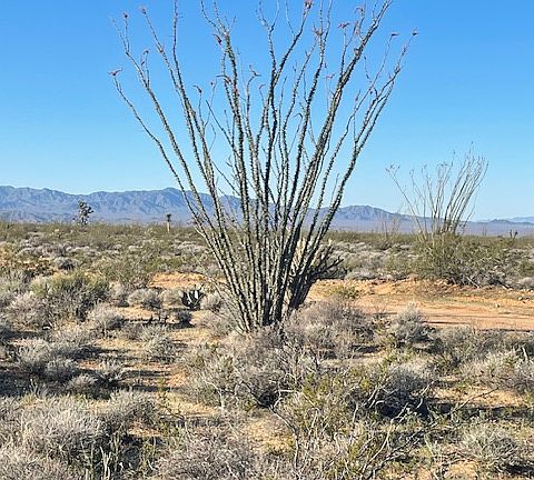 4th image of LOT 16 S Desert View Rd