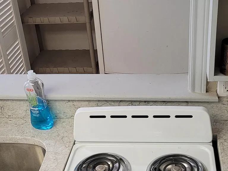 Picture of efficiency kitchen with pantry. Has garbage disposal, pantry, refrigerator, and stove.