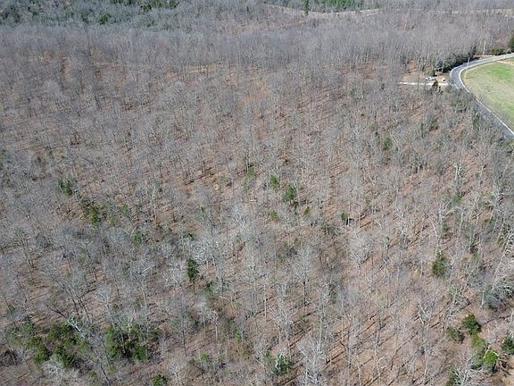 2nd image of 92A Riverside Benleo Rd