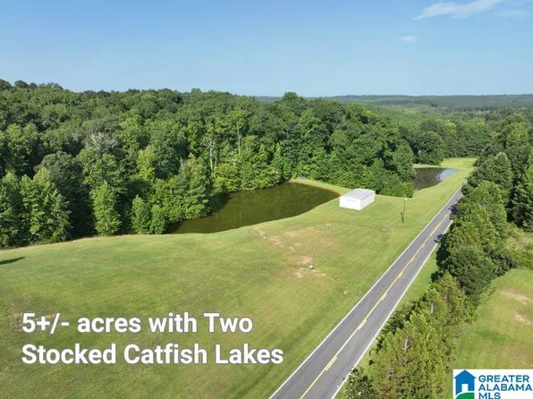521ACRE S County Road 61, Roanoke, AL 36274