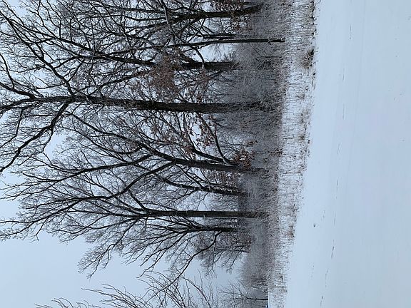 4th image of LOT 56 Oak Bluff Ln