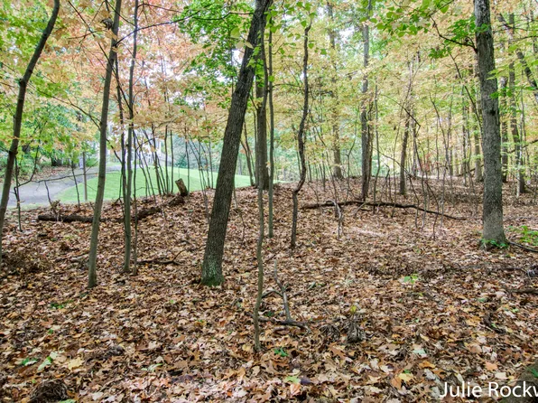 4611 Old Grand River Trl NE, Ada, MI 49301