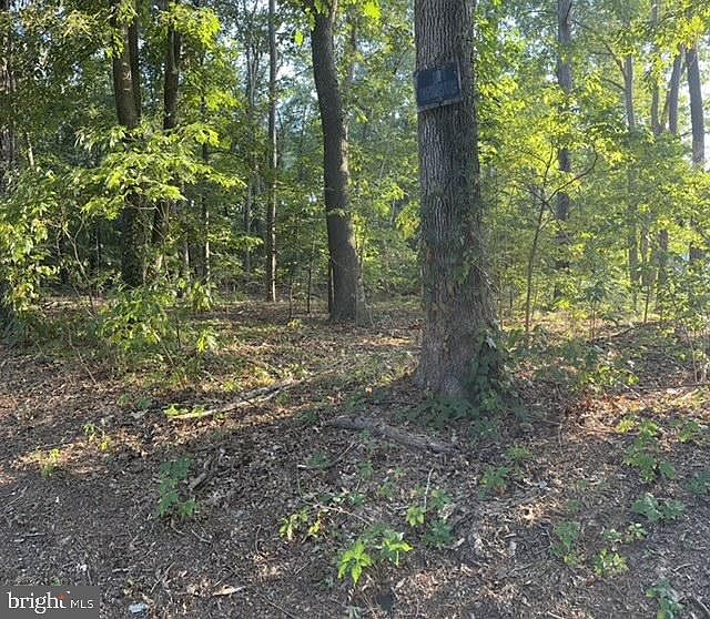 Lots 3&4 Blackwater Rd, Frankford, DE 19945 MLS DESU2047772 Zillow