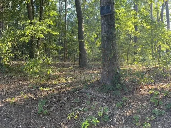 Lots 3&4 Blackwater Rd, Frankford, DE 19945