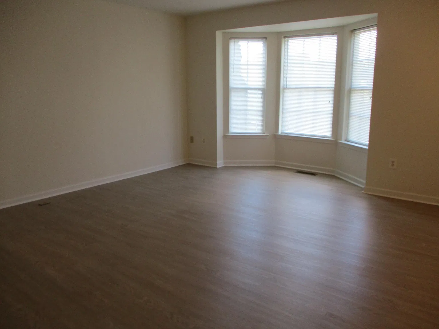 255 Thomas Harmon Dr — Photo 4