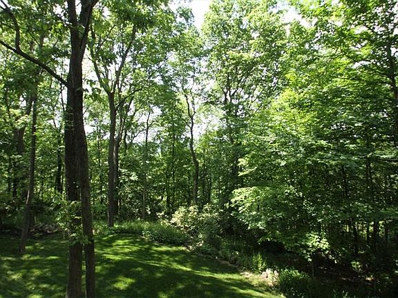 View off deck