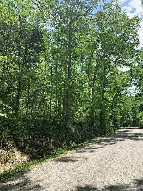 2nd image of 0 Goodman Branch Rd