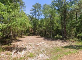 19 Guava Pass Trl Lot 4, Ocklawaha, FL 32179