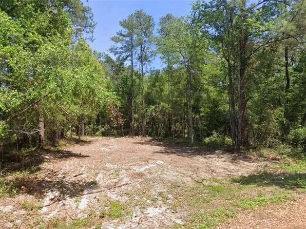 19 Guava Pass Trl Lot 4, Ocklawaha, FL 32179