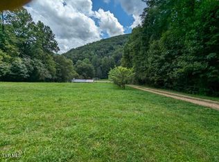 107 North St, Greeneville, TN 37821