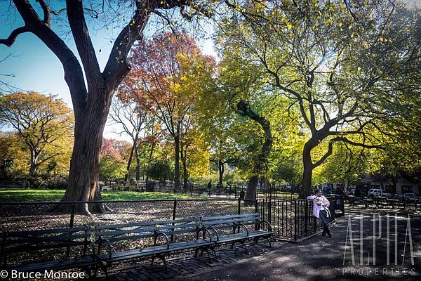 Rented by Alpha Properties NYC I LLC | media 28