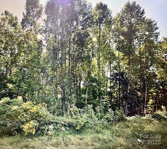 3625 Thompson St, Newton, NC, 28658