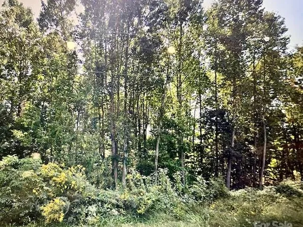 3625 Thompson St, Newton, NC 28658