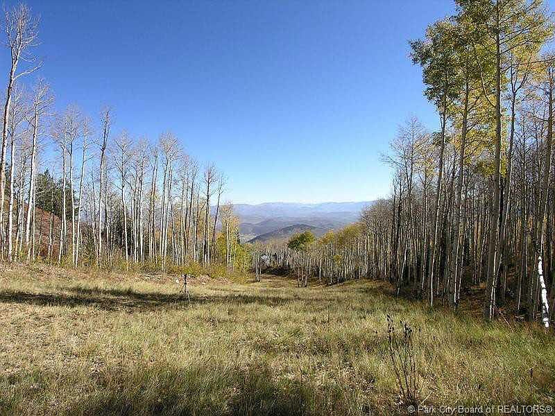 1st image of 62 White Pine Cyn #66