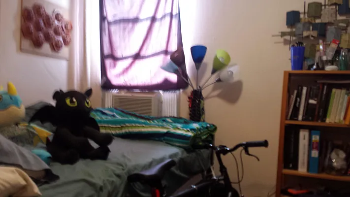 Rented by Camhi NYC Realty Inc | media 30