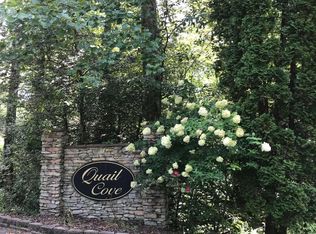 11A Snipe Hollow Ln, Warne, NC 28909