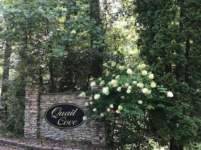 11A Snipe Hollow Ln, Warne, NC, 28909