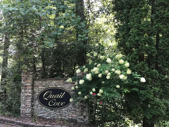 11A Snipe Hollow Ln, Warne, NC 28909