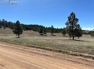 38 Apache Cir, Florissant, CO 80816