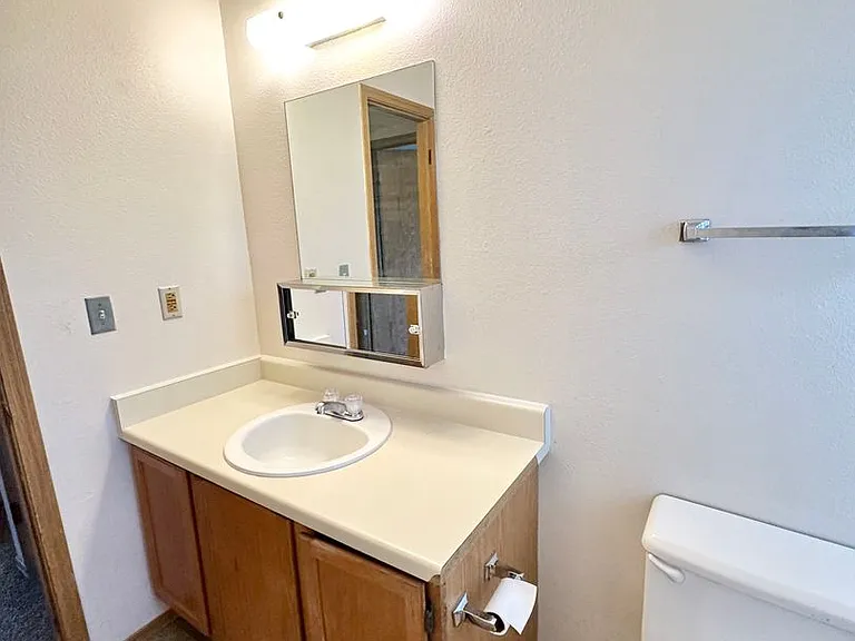 1329 Soaring Eagle Dr — Photo 6