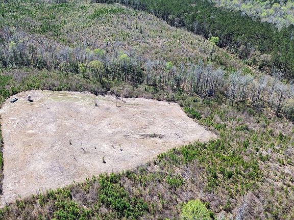 Dji Fly 20260317 132840 501 1773768704065 Photo Optimized