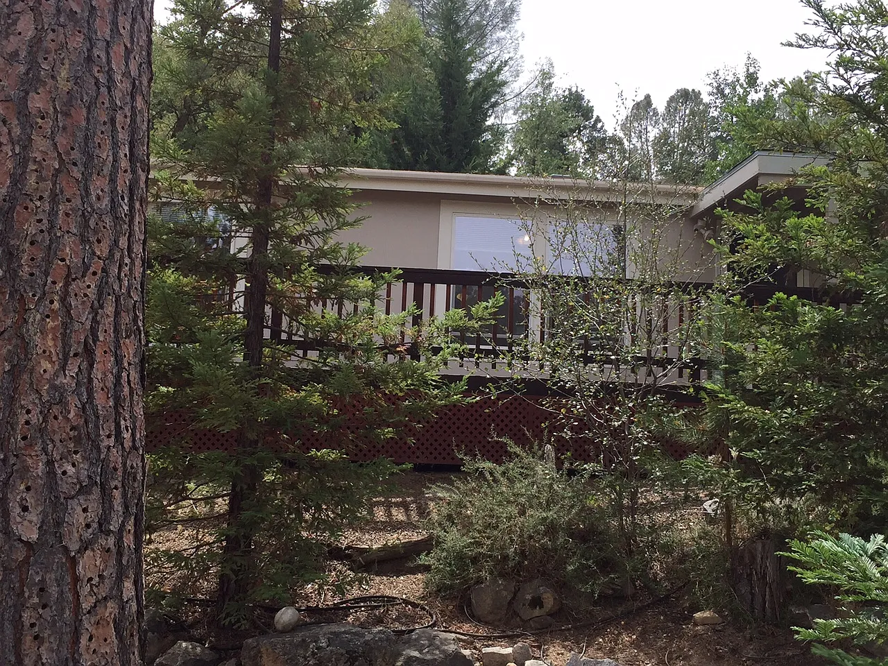 43555 Highway 41 Unit C5 photo 1