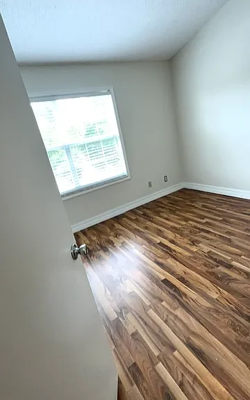 5446 Carrollwood Key Dr — Photo 3