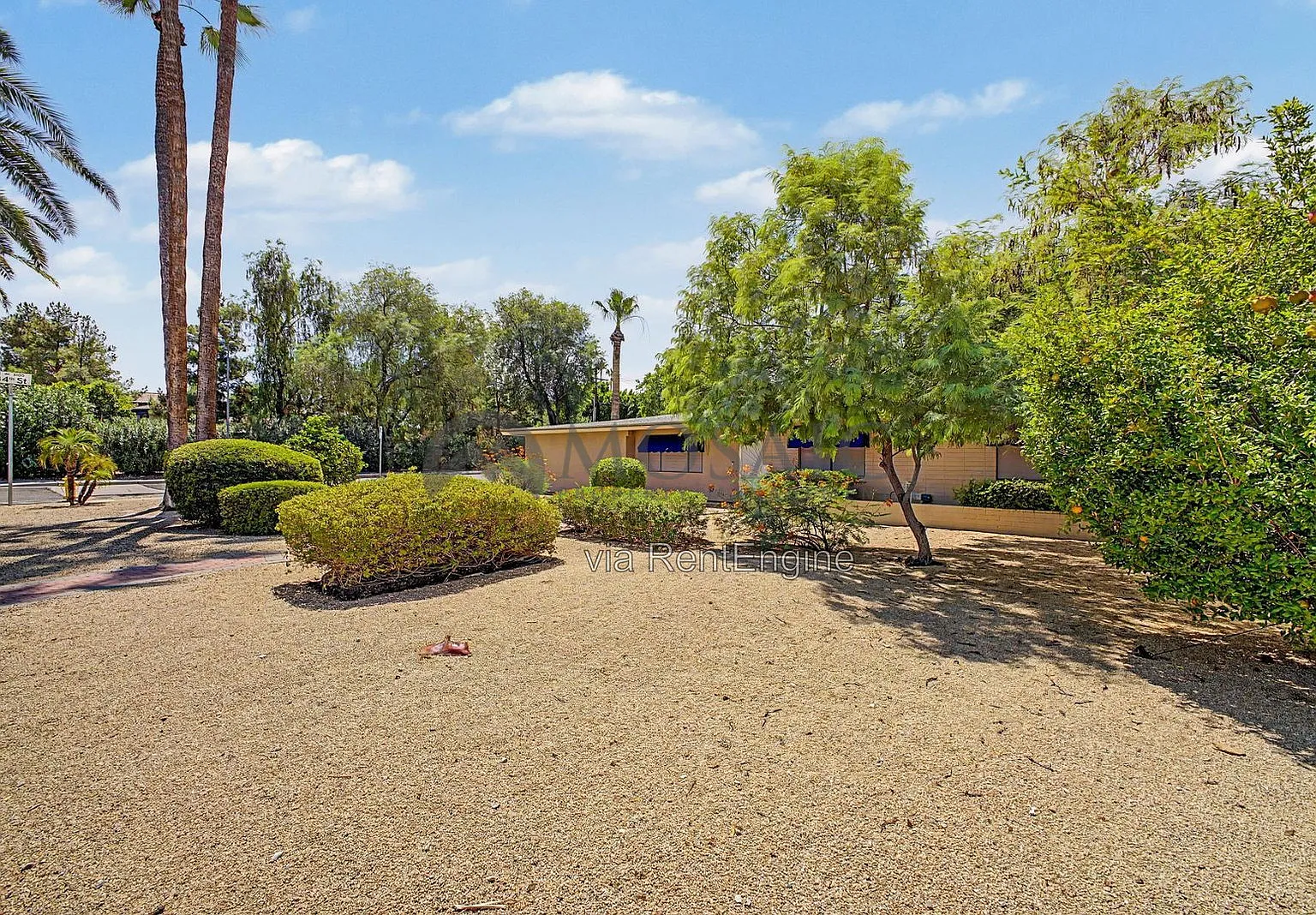 3 bed, 2.0 bath, 1693 sqft, $2,995 — Photo 3
