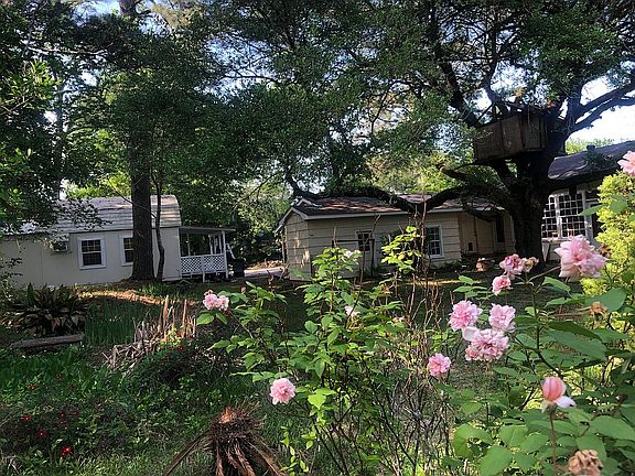 Large back yard
