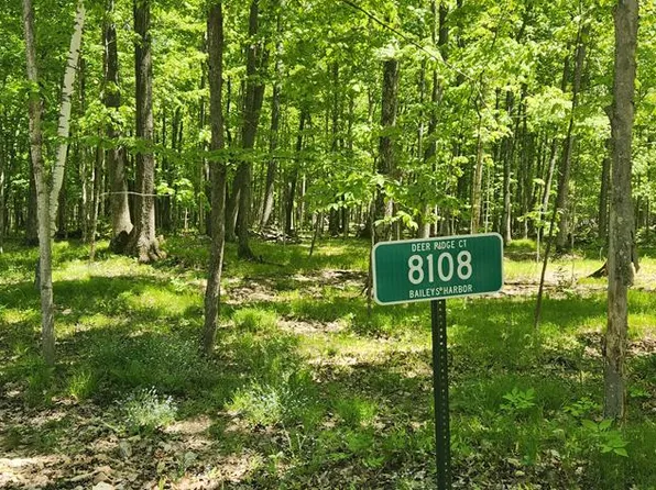 8108 Deer Ridge Ct, Baileys Harbor, WI 54202