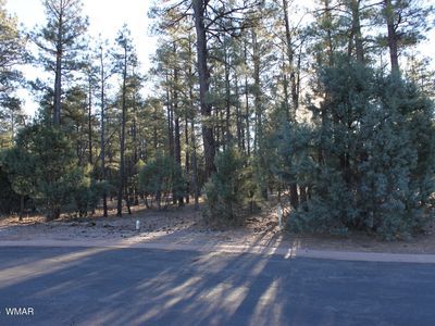 3300 Mariposa Ln, Show Low, AZ, 85901