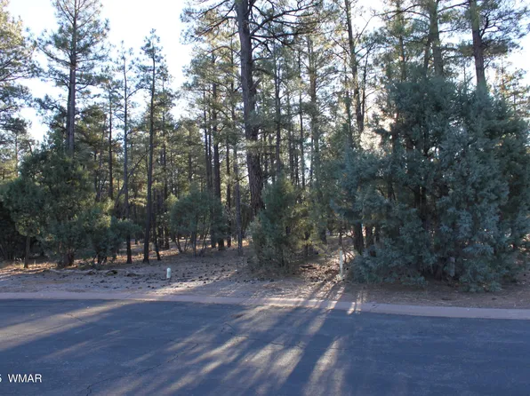 3300 Mariposa Ln, Show Low, AZ 85901