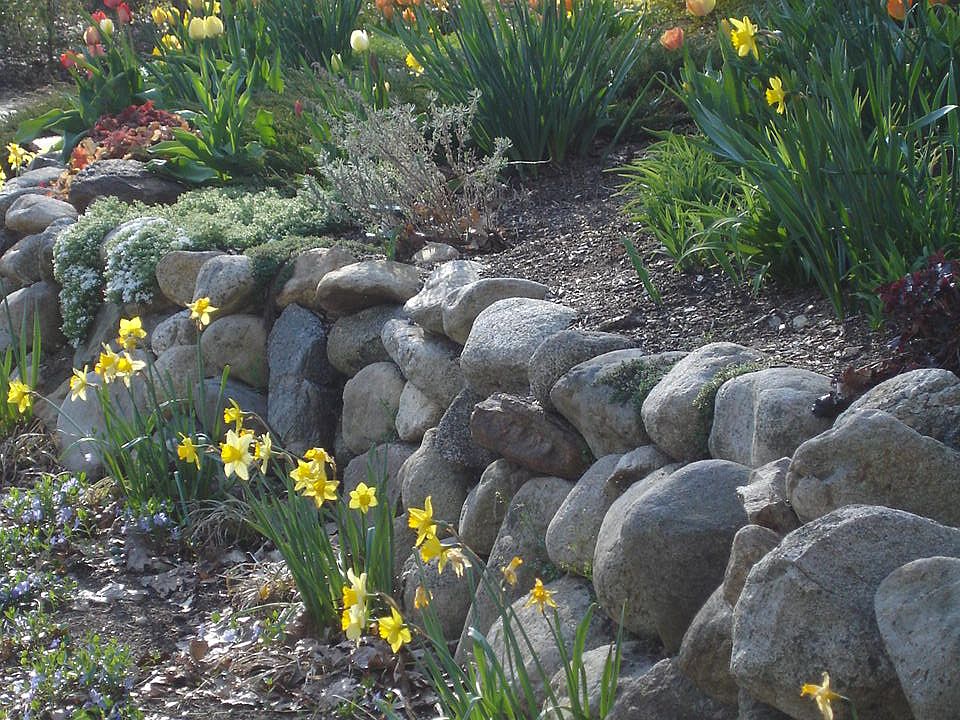 Spring Flowers out Front
