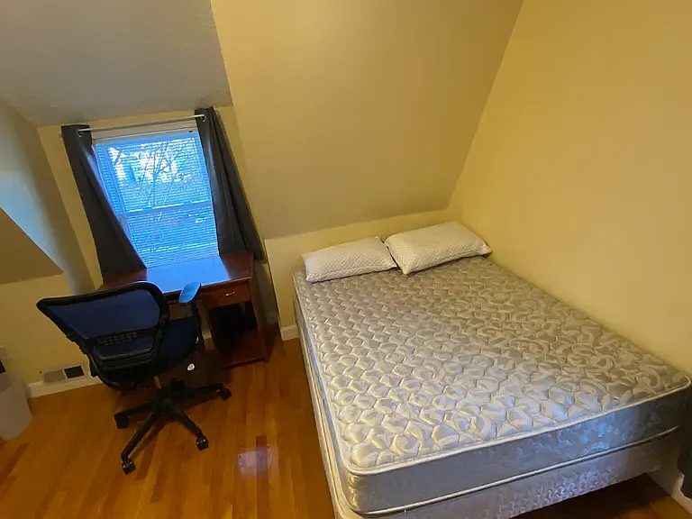 28 Albion St #2 — Photo 11