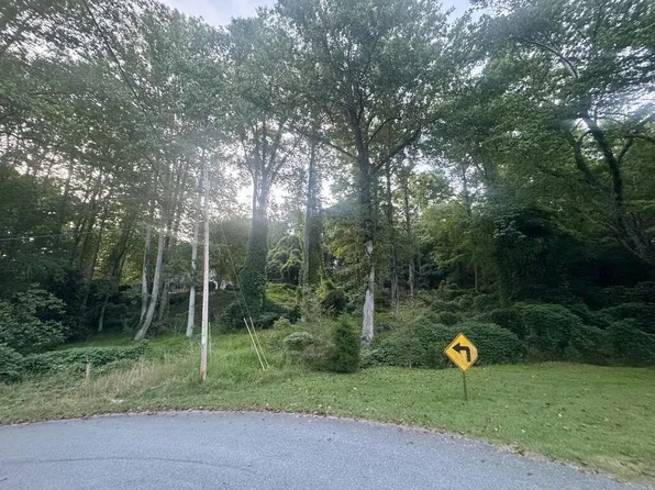 LOT 53 Circle Dr, Morganton, GA 30560
